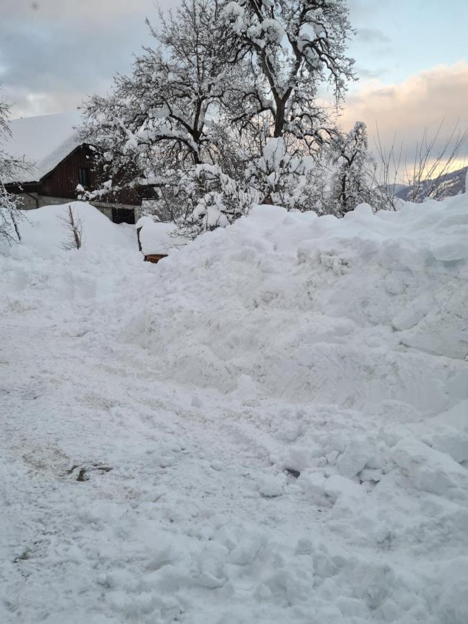 Ferienwohnung Salburg,Troepolach Bagian luar foto