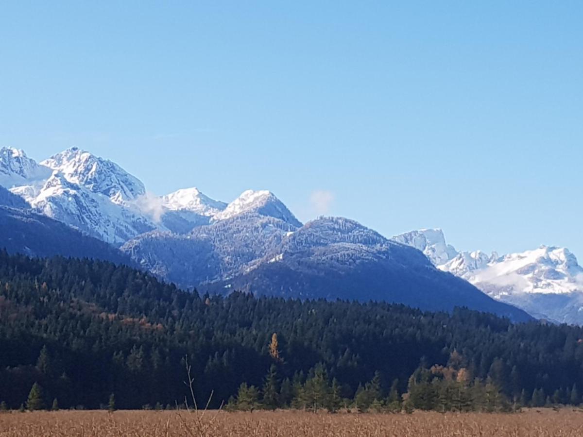 Ferienwohnung Salburg,Troepolach Bagian luar foto
